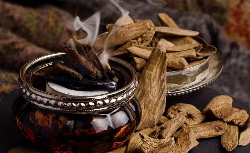 The Price of Luxury: Unveiling the Most Expensive Perfume Ingredients