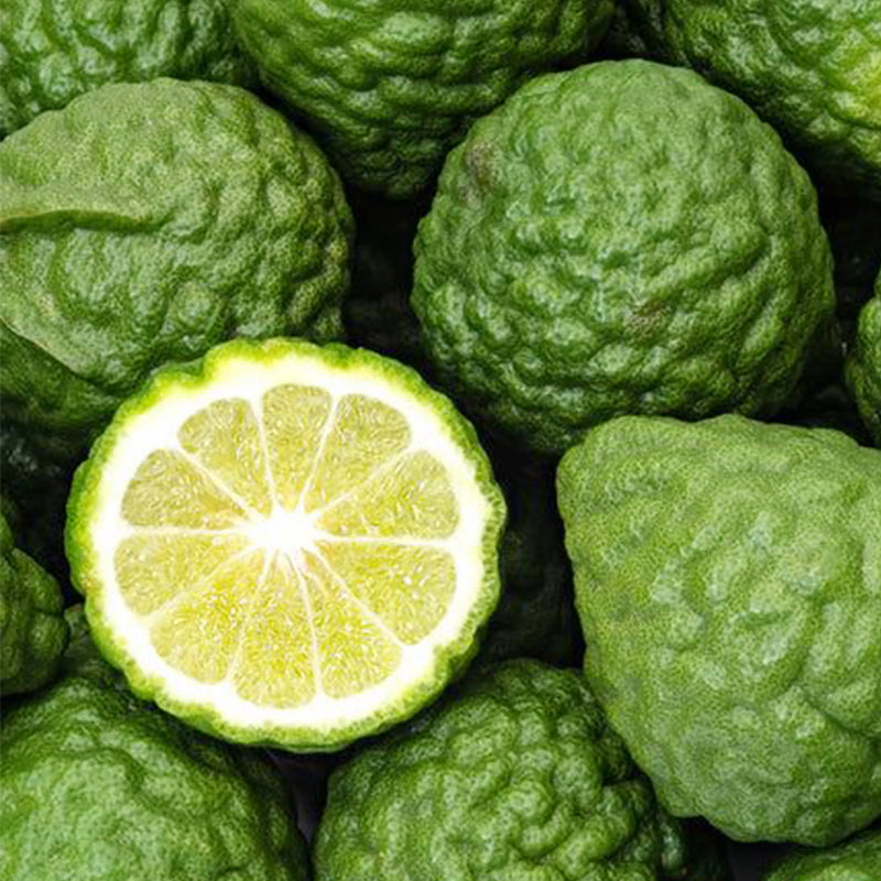 Understanding Bergamot: The Earl Grey of Perfumery