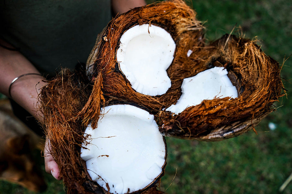 The Rise of Coconut in Niche Fragrances