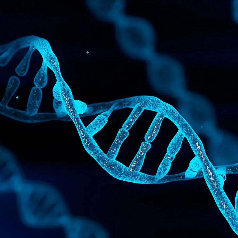 The Impact of Genetics on Fragrance Perception