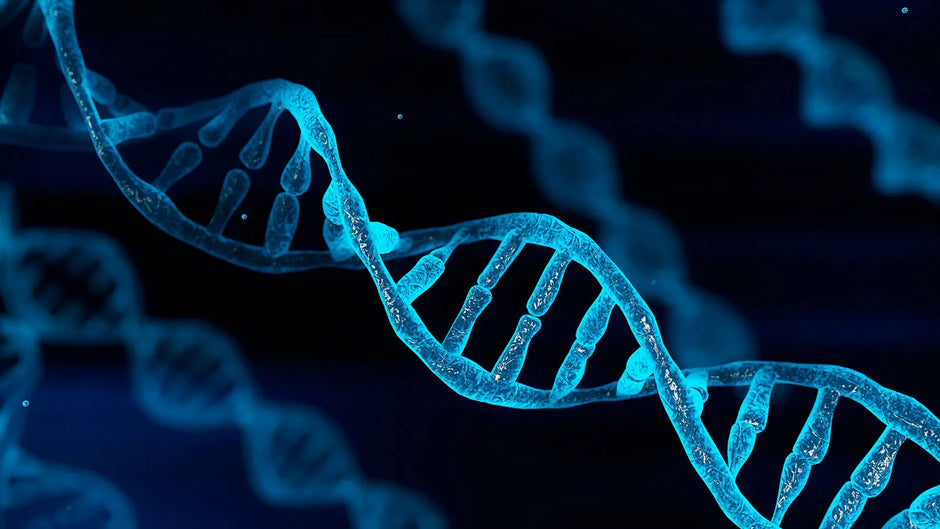 The Impact of Genetics on Fragrance Perception