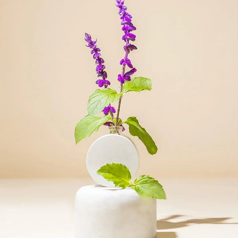 Understanding Patchouli's Complex Aroma: A Journey Through Time and Scent