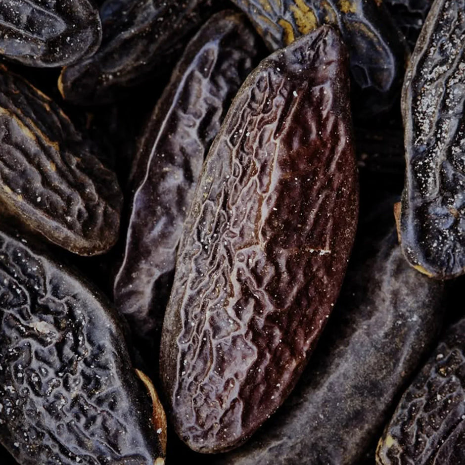What Does Tonka Bean Smell Like?